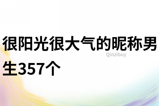 很陽光很大氣的昵稱男生357個