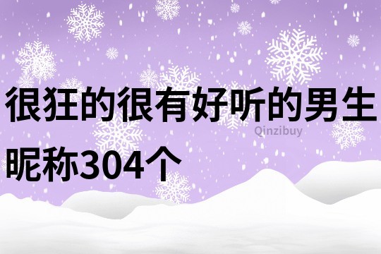 很狂的很有好聽的男生昵稱304個