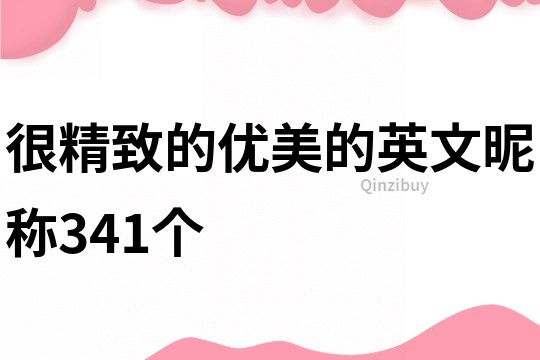 很精致的優(yōu)美的英文昵稱341個(gè)
