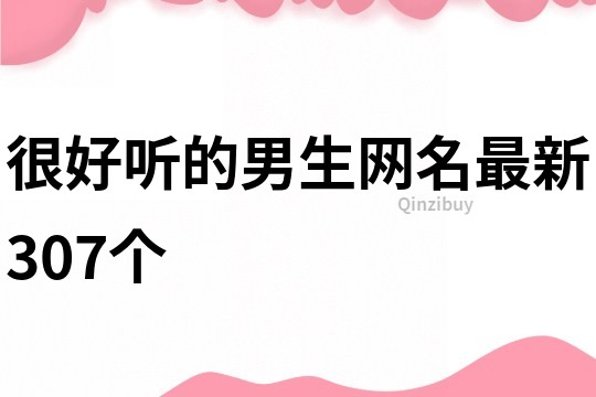 很好聽的男生網名最新307個