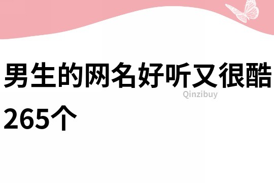 男生的網名好聽又很酷265個