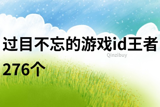 過目不忘的游戲id王者276個
