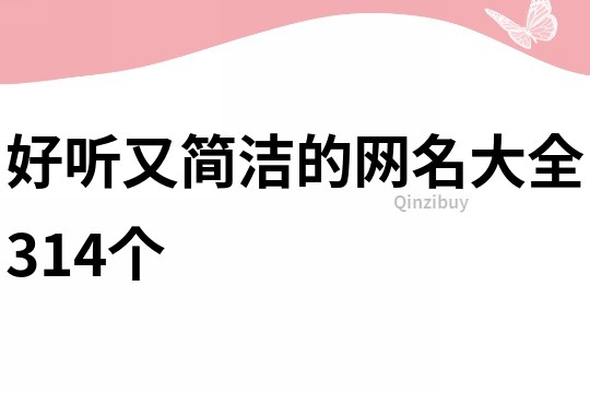 好聽又簡潔的網名大全314個