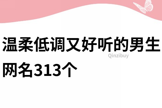 溫柔低調又好聽的男生網名313個