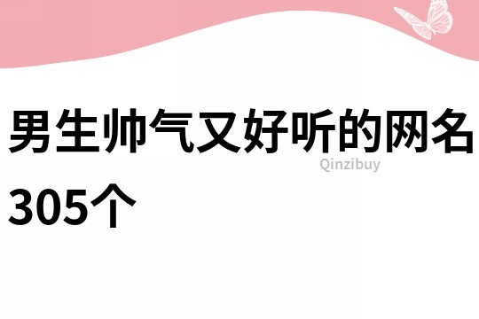 男生帥氣又好聽的網名305個