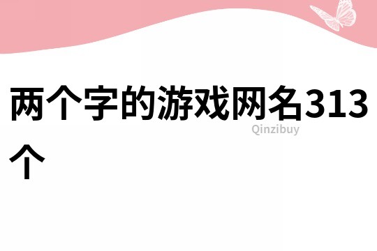 兩個字的游戲網名313個
