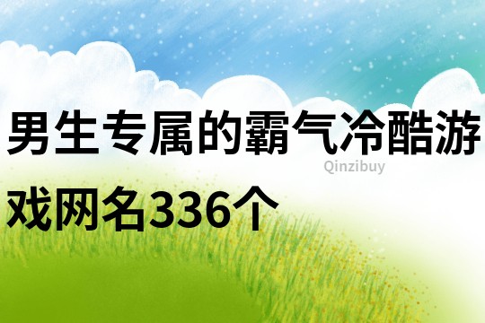 男生專屬的霸氣冷酷游戲網名336個