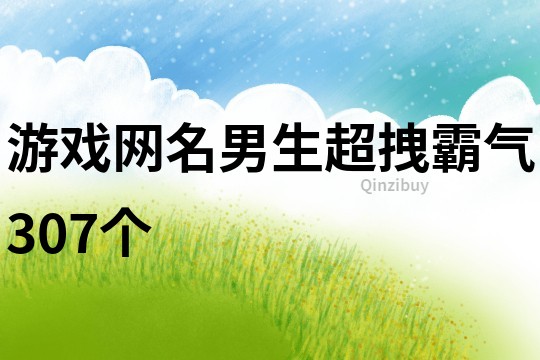 游戲網名男生超拽霸氣307個
