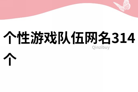 個性游戲隊伍網名314個