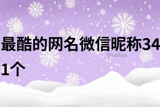 最酷的網(wǎng)名微信昵稱341個