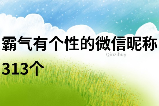 霸氣有個性的微信昵稱313個
