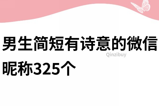 男生簡短有詩意的微信昵稱325個