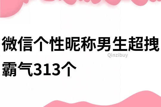 微信個性昵稱男生超拽霸氣313個