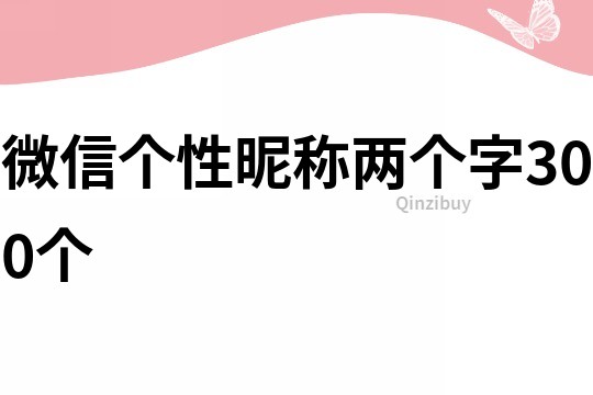 微信個性昵稱兩個字300個