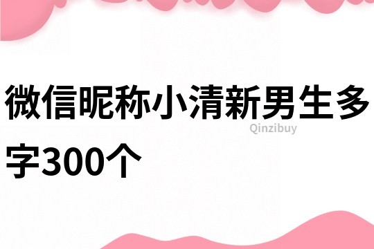 微信昵稱小清新男生多字300個