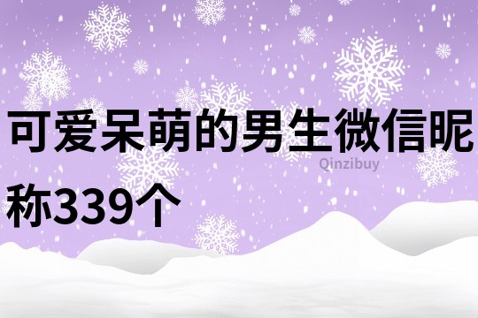 可愛呆萌的男生微信昵稱339個