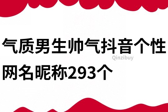 氣質男生帥氣抖音個性網名昵稱293個