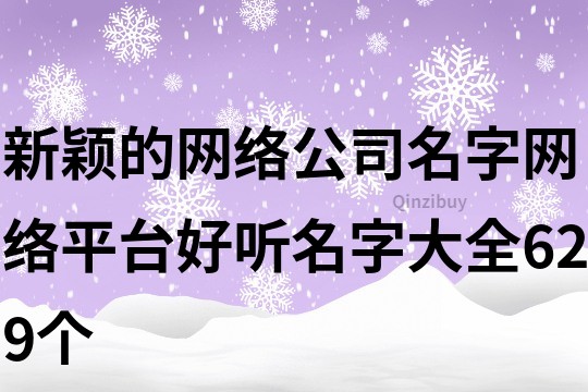 新穎的網(wǎng)絡(luò)公司名字,網(wǎng)絡(luò)平臺(tái)好聽名字大全629個(gè)
