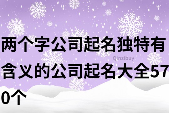 兩個字公司起名,獨特有含義的公司起名大全570個