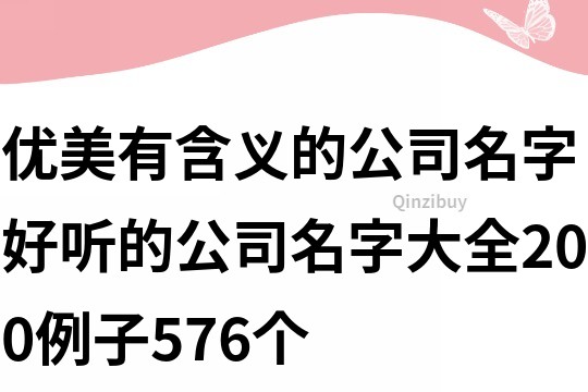 優美有含義的公司名字,好聽的公司名字大全200例子576個