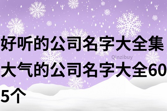 好聽的公司名字大全集,大氣的公司名字大全605個
