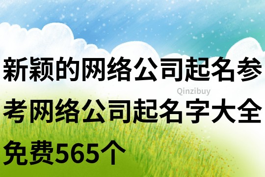 新穎的網絡公司起名參考,網絡公司起名字大全免費565個