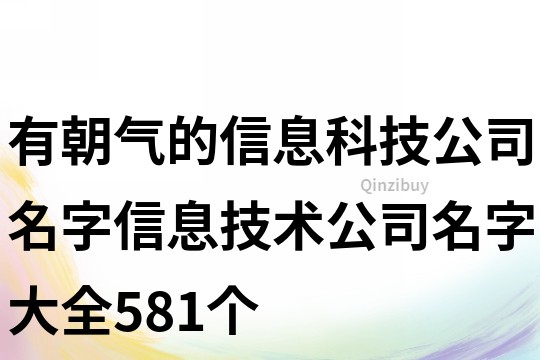 有朝氣的信息科技公司名字,信息技術公司名字大全581個