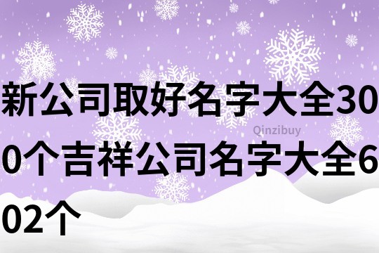 新公司取好名字大全,300個吉祥公司名字大全602個