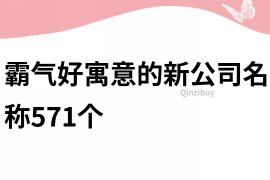 霸氣好寓意的新公司名稱571個