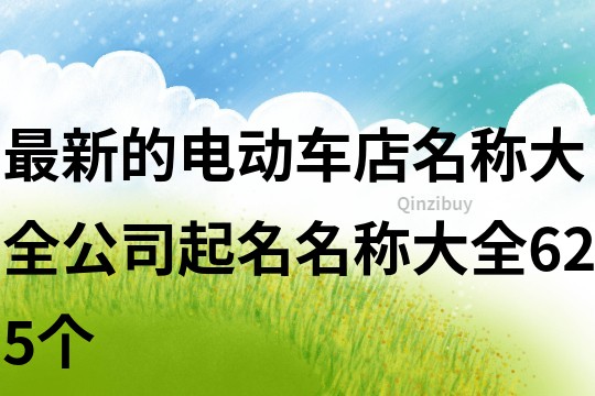 最新的電動(dòng)車店名稱大全,公司起名名稱大全625個(gè)