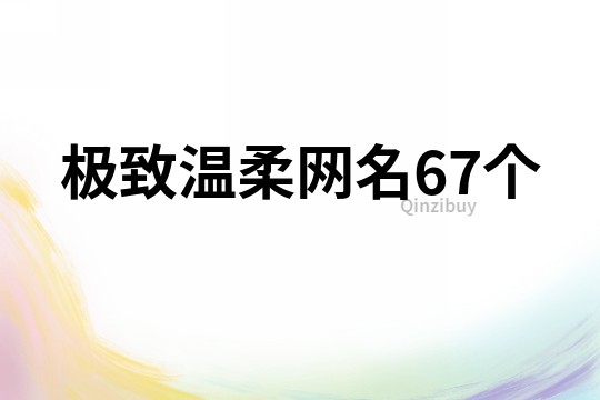 極致溫柔網名67個