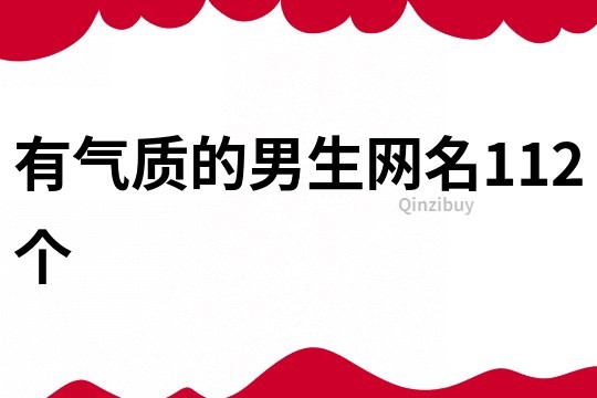有氣質的男生網名112個