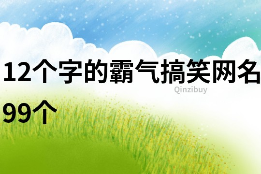 12個字的霸氣搞笑網名99個