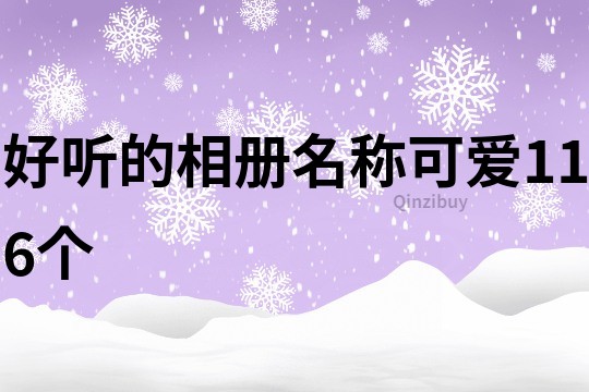 好聽的相冊名稱可愛116個