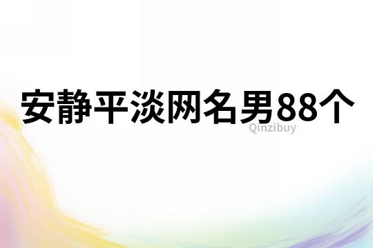 安靜平淡網名男88個