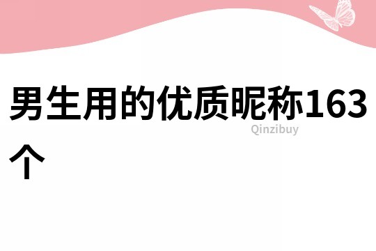 男生用的優質昵稱163個