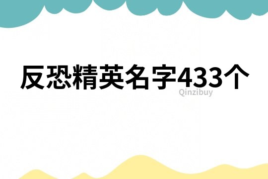反恐精英名字433個(gè)