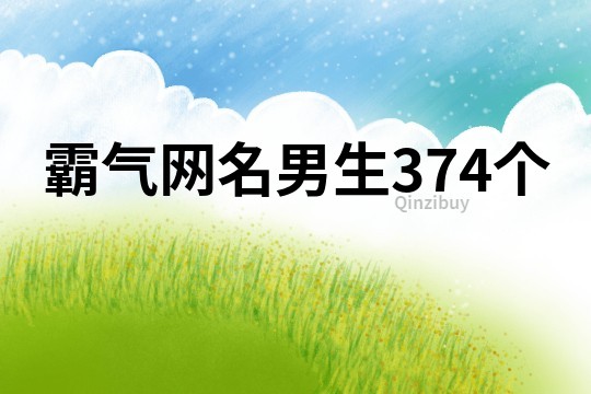 霸氣網名男生374個