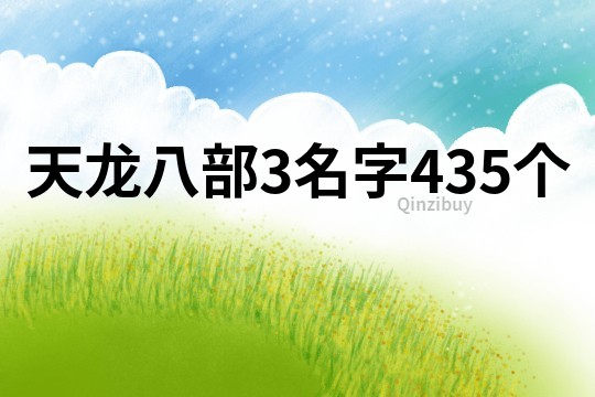 天龍八部3名字435個