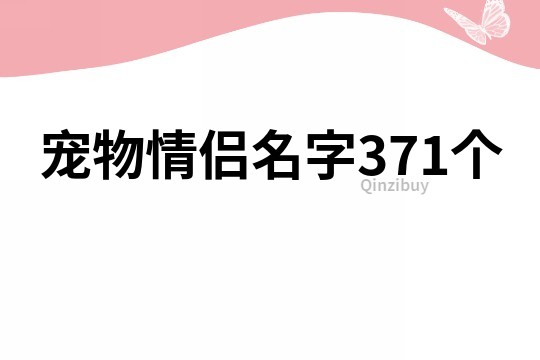 寵物情侶名字371個