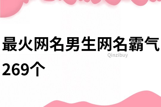 最火網名男生網名霸氣269個