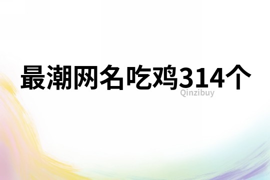 最潮網(wǎng)名吃雞314個(gè)