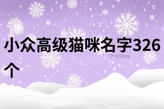 小眾高級貓咪名字326個