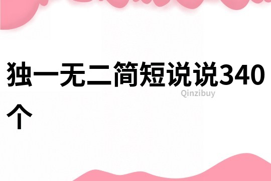 獨一無二簡短說說340個