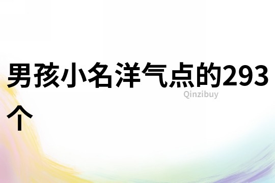 男孩小名洋氣點的293個