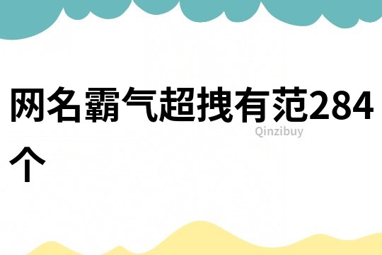 網(wǎng)名霸氣超拽有范284個