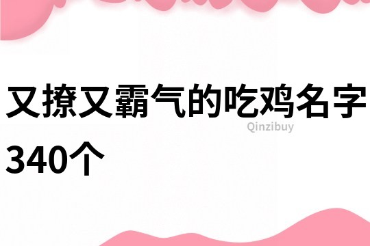 又撩又霸氣的吃雞名字340個