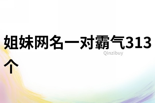 姐妹網名一對霸氣313個