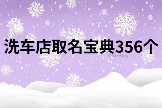 洗車店取名寶典356個
