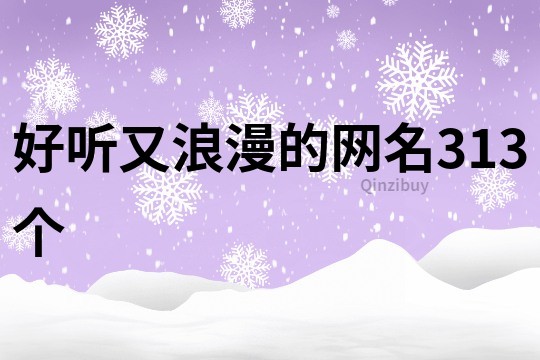 好聽又浪漫的網名313個
